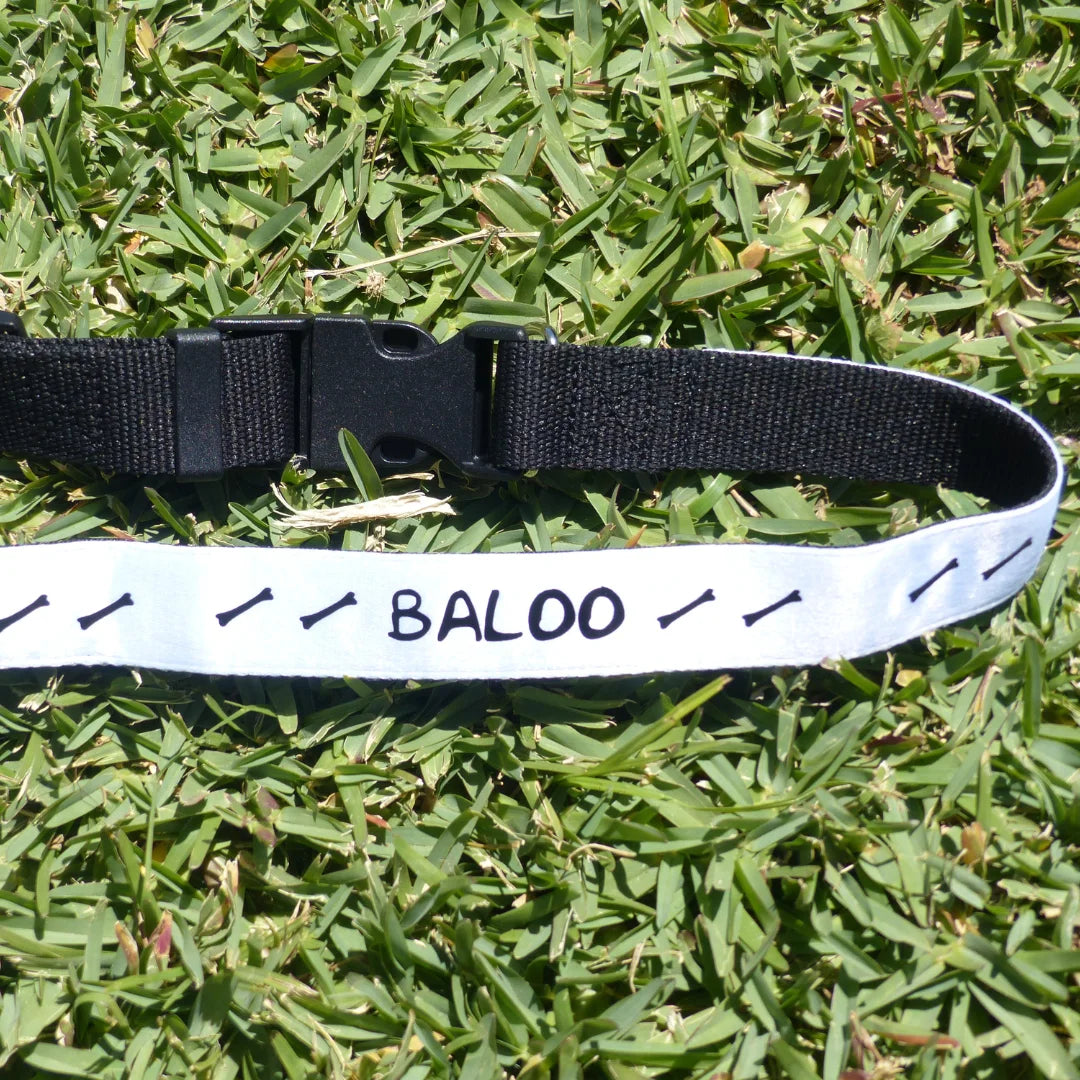 Collar mascota ajustable personalizado - Product Image