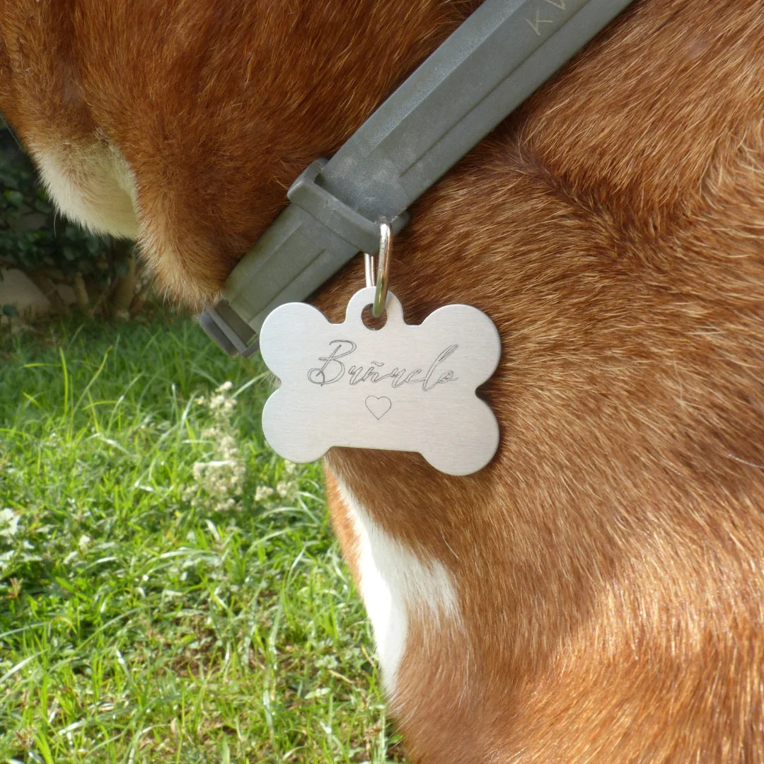 Chapa de mascota personalizada - Product Image