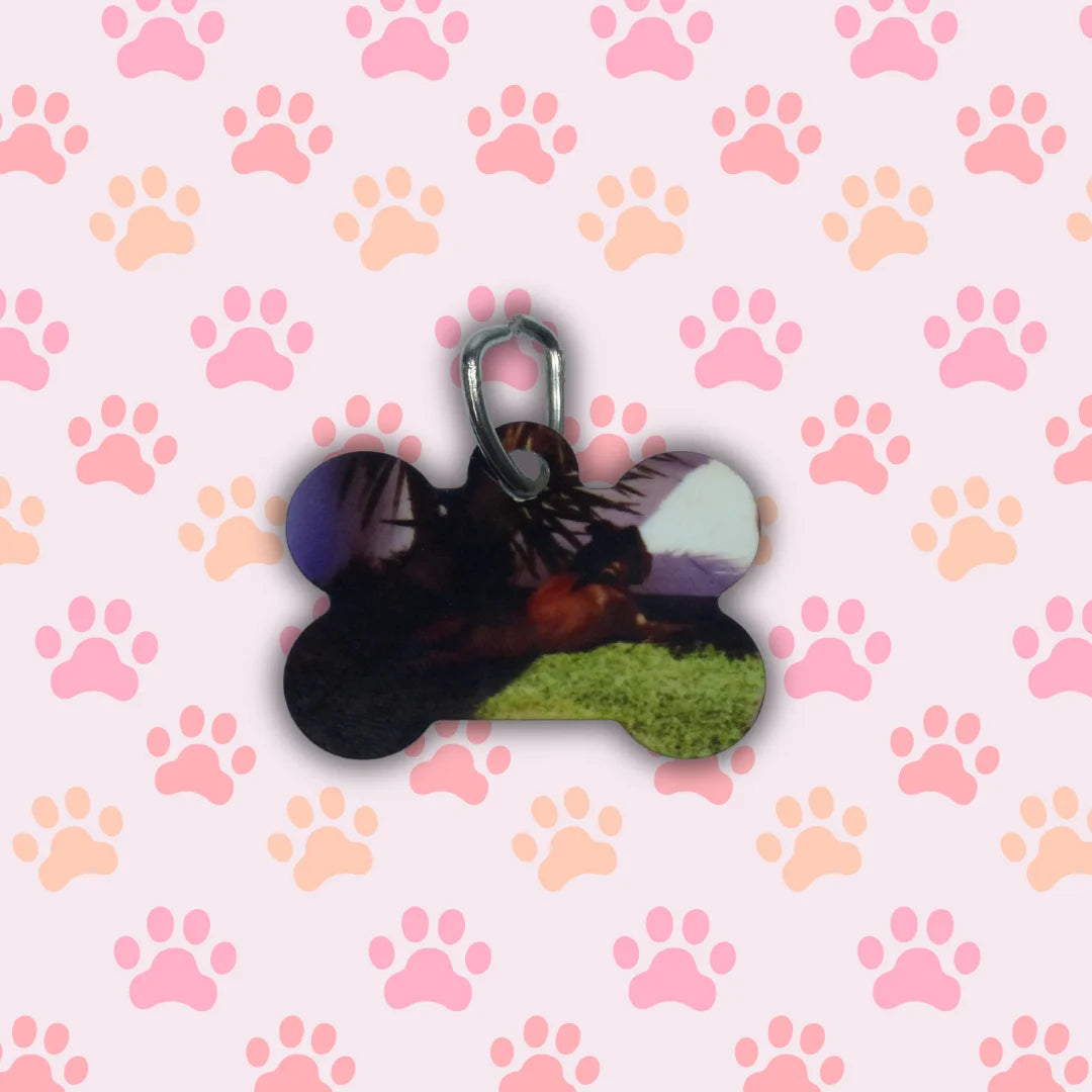 Chapa de mascota personalizada - Product Image