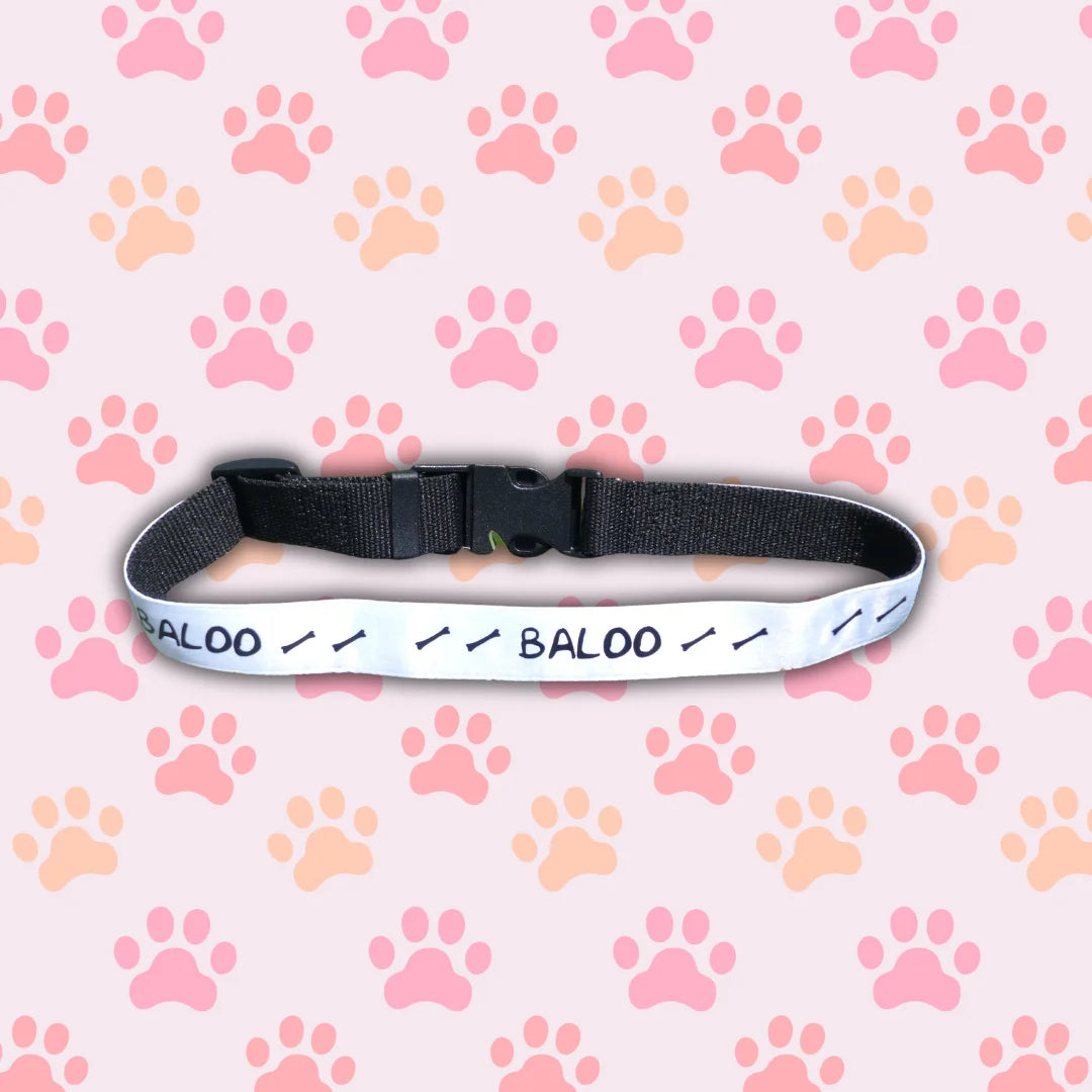 Collar mascota ajustable personalizado - Product Image